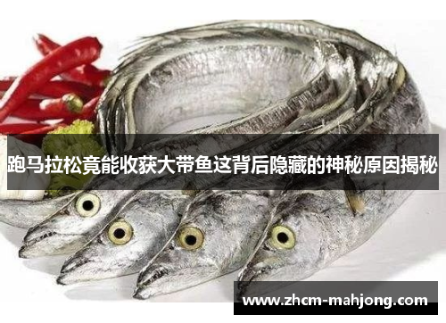 跑马拉松竟能收获大带鱼这背后隐藏的神秘原因揭秘