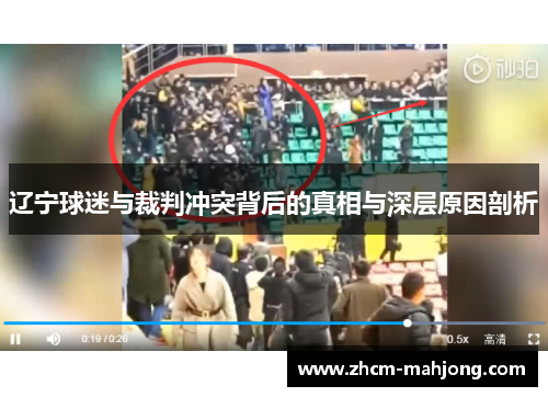 辽宁球迷与裁判冲突背后的真相与深层原因剖析